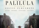 Undeva_la_Palilula