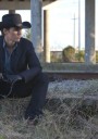 „Killer Joe” – pulp noir ca la carte