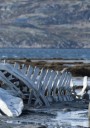 „Leviathan”, în deschiderea Les Films de Cannes à Bucarest